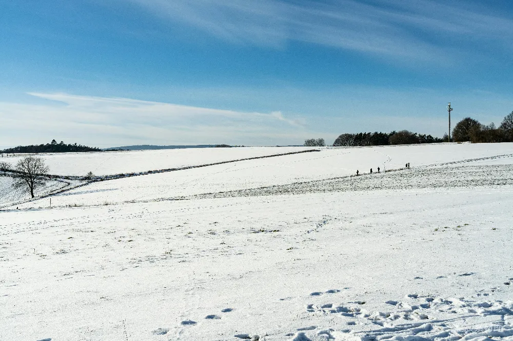 高清摄影 雪景 田野 冬日 乡村 户外 雪中的田野