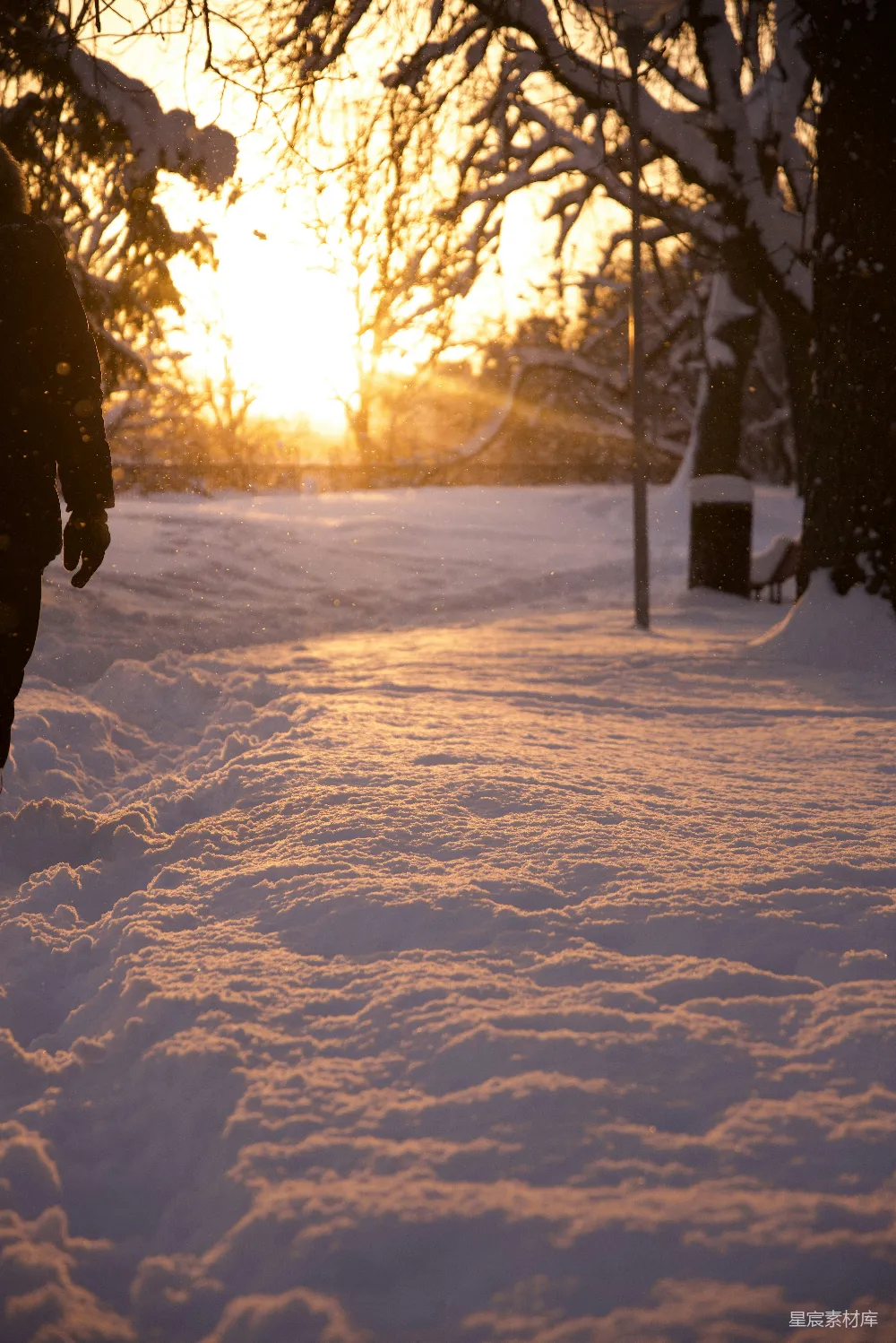 高清摄影 冬日 黄昏 雪地 散步 自然 冬日黄昏的雪地散步