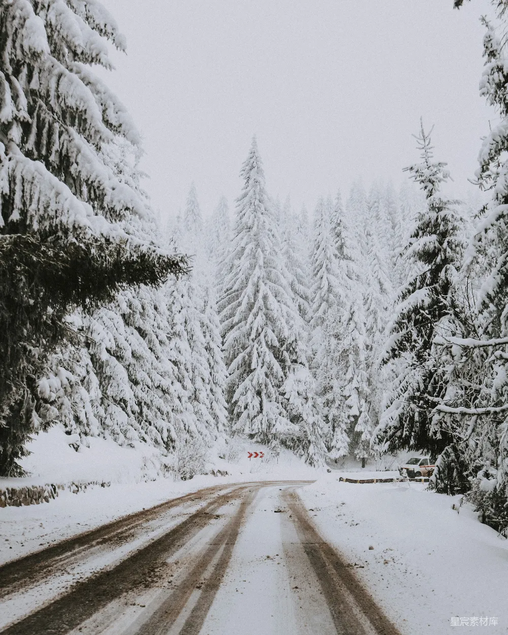 高清摄影 冬季 森林 雪景 自然 宁静 雪后的森林之路