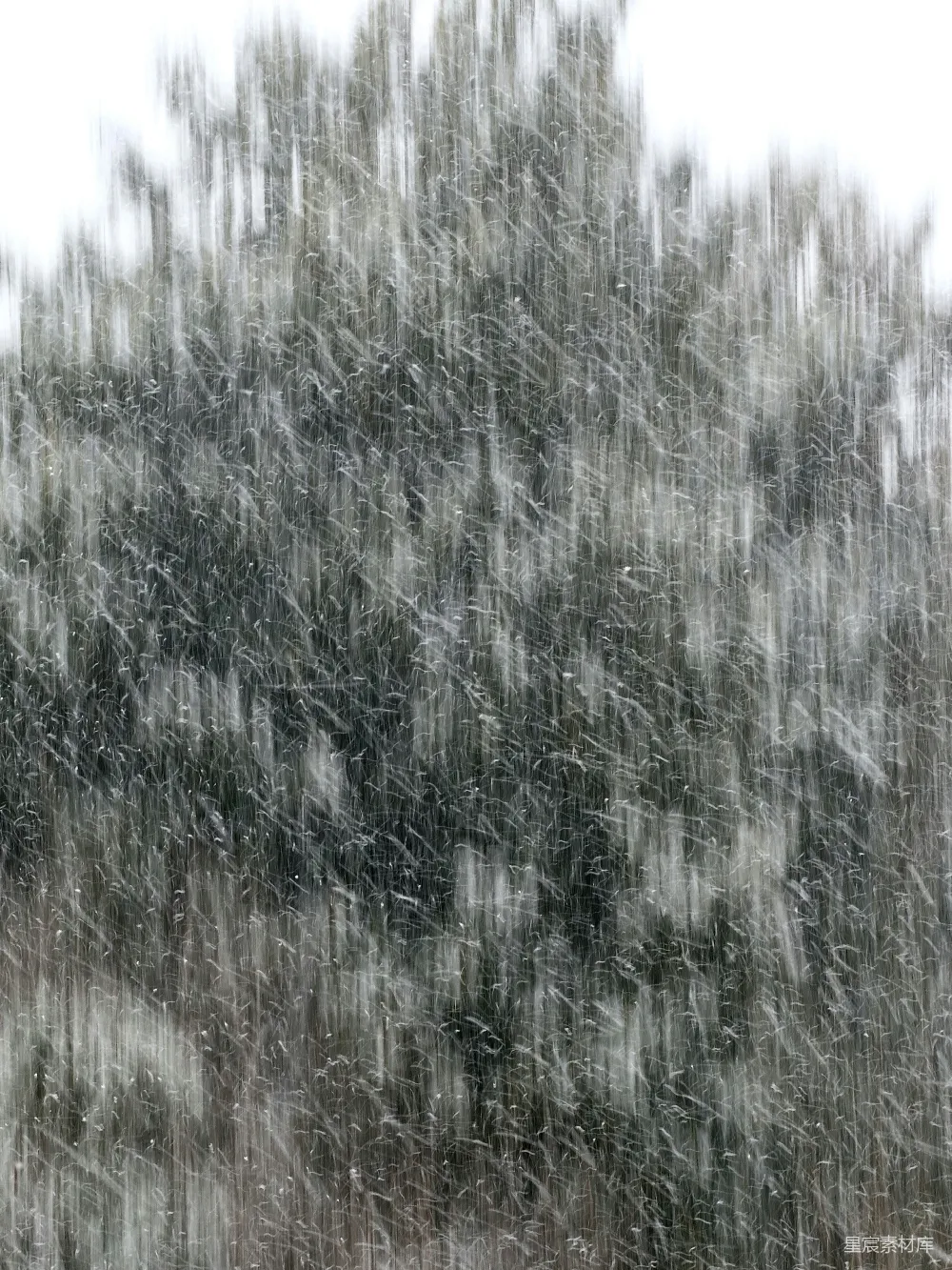 高清摄影 冬景 雪景 自然 宁静 冷色系 冬日飘雪