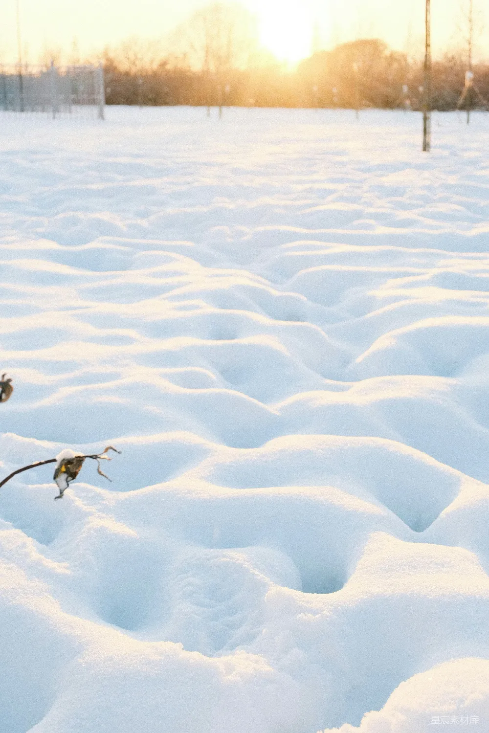 这张图片展示了冬日夕阳下的雪地，阳光洒在积雪上，形成温暖的金色光芒，远处的树木在雪地的映衬下显得朦胧而宁静。雪地上有明显的车辙痕迹，给人一种静谧和寒冷的感觉。适合用来表达冬季的宁静与自然之美。