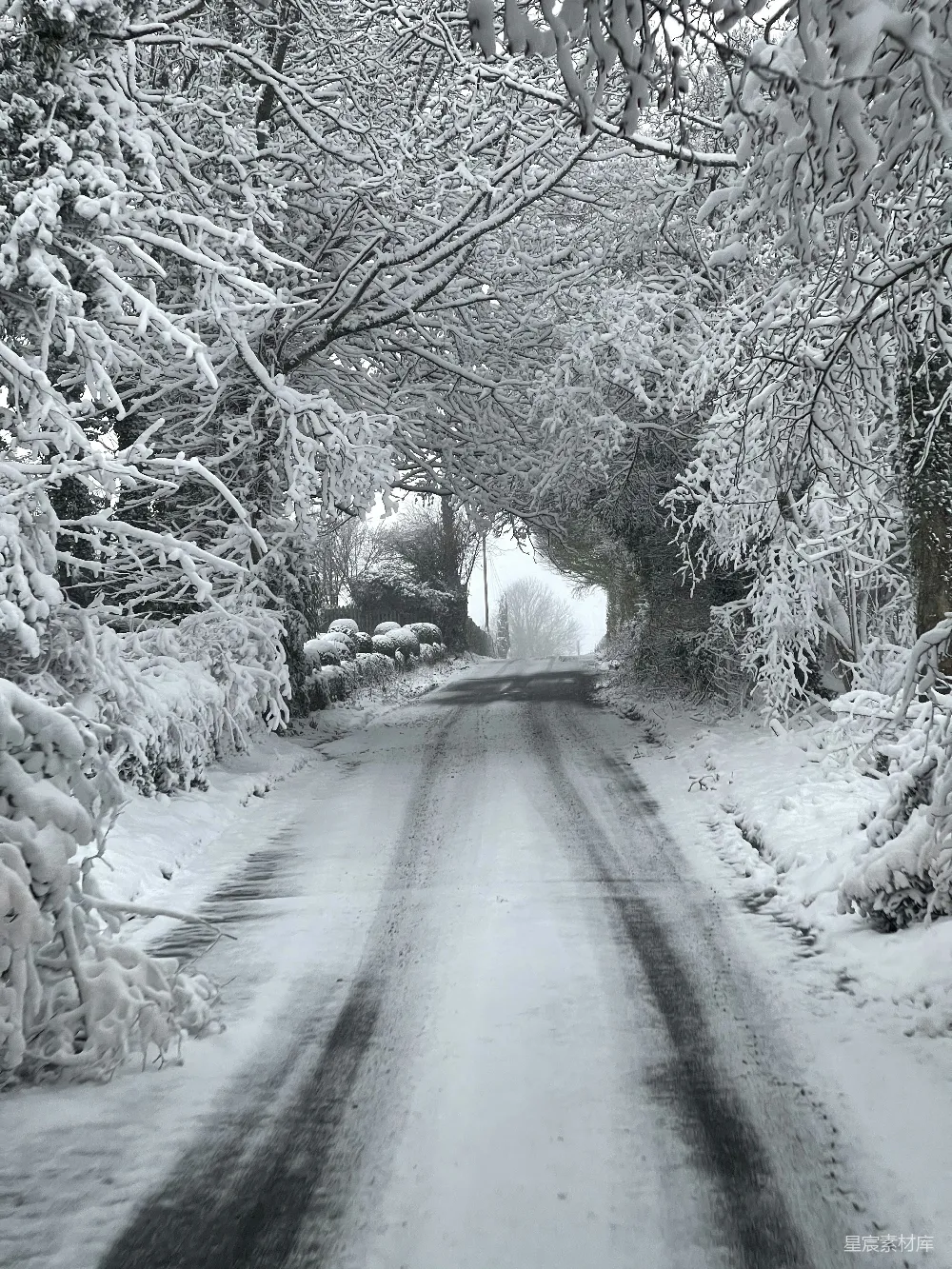高清摄影 雪景 自然风光 冬季 宁静 乡村 雪中林间小道