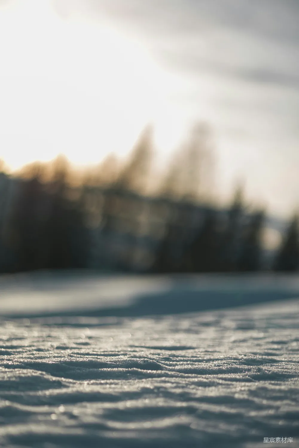 高清摄影 雪地 冬日 晨光 宁静 自然 冬日晨光下的雪地