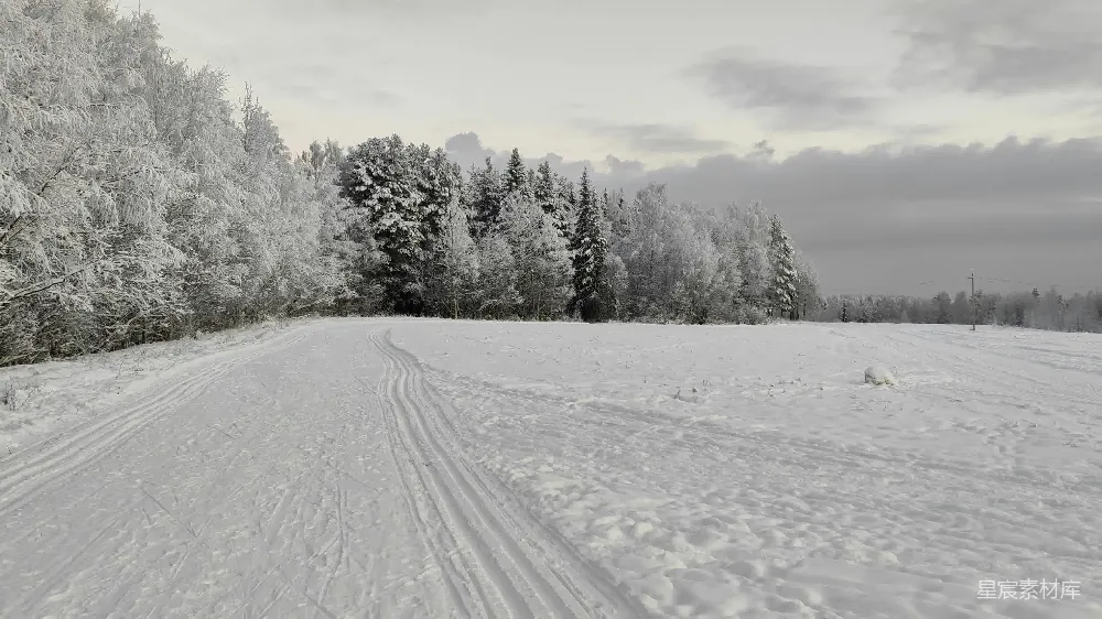 高清摄影 雪景 森林 冬季 自然 道路 冬日雪景：森林与道路