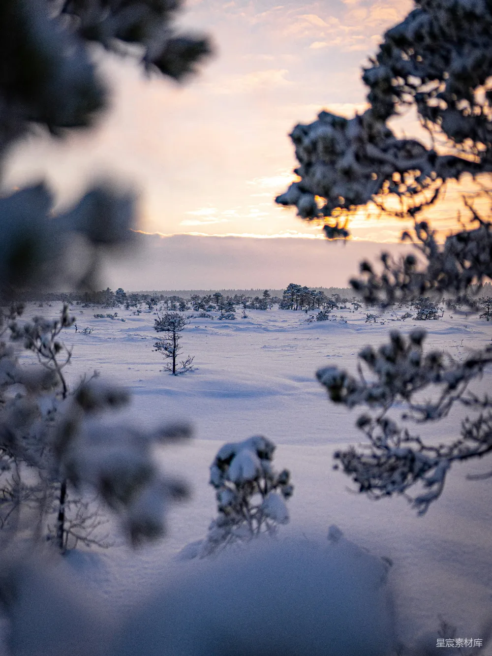 高清摄影 雪地 日落 自然风光 宁静 冬季 雪地日落风景