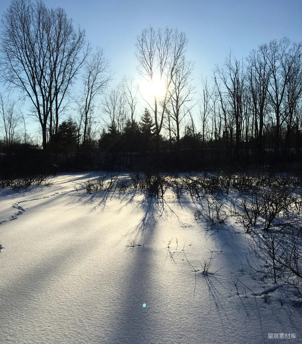 高清摄影 雪地 冬日 阳光 自然 宁静 冬日阳光下的雪地