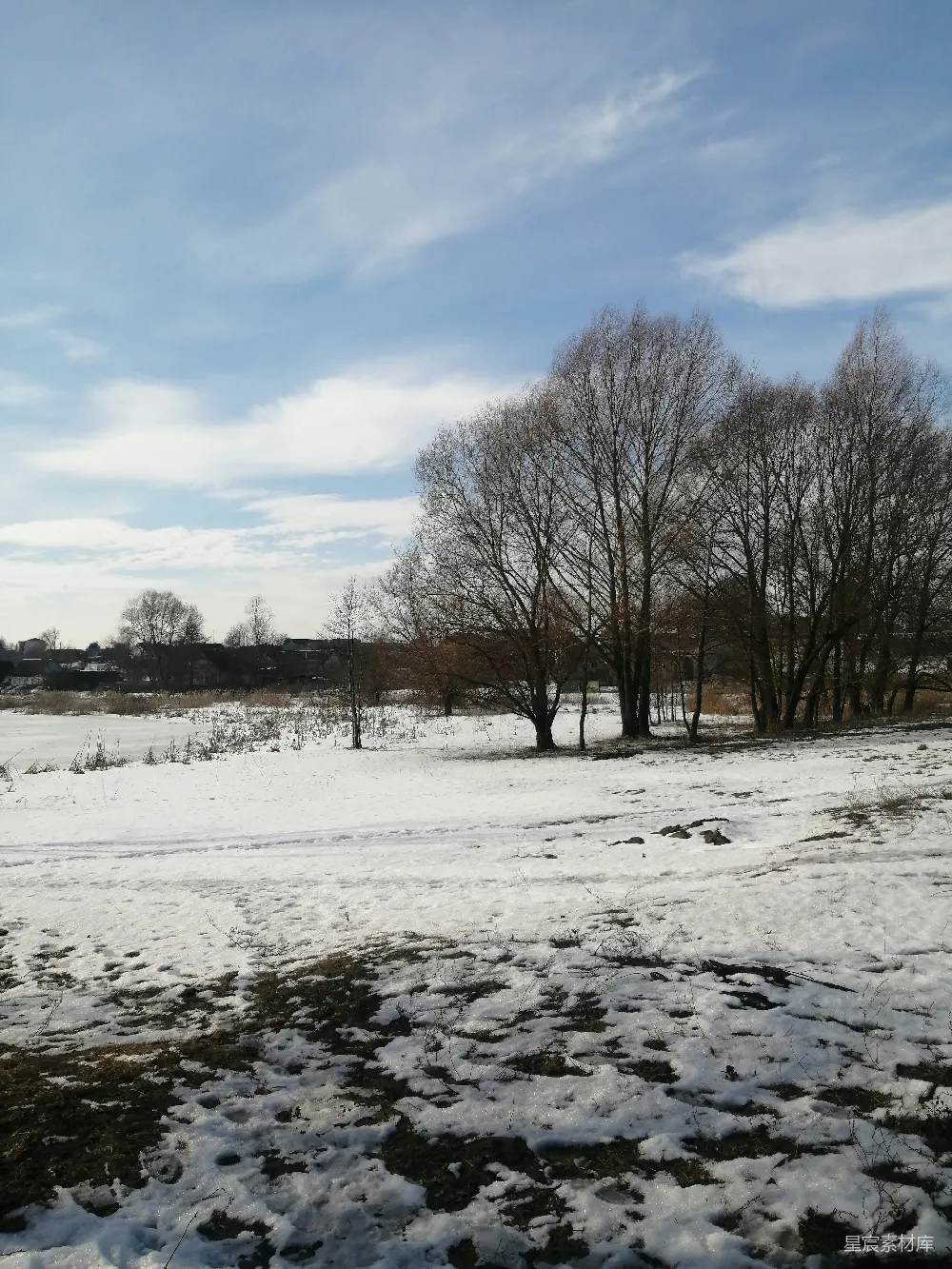 高清摄影 雪景 冬季 自然 宁静 户外 冬日雪景中的静谧林地