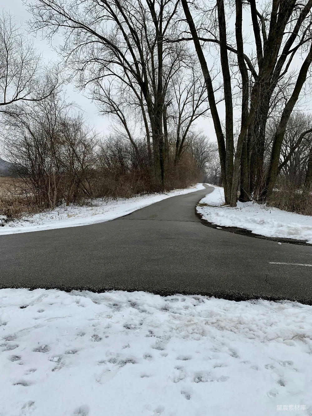 高清摄影 冬季 雪景 乡村道路 自然风光 宁静 冬日雪景中的蜿蜒小路