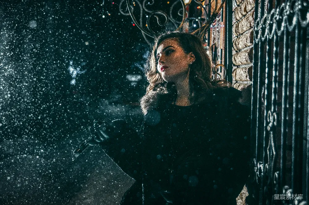 高清摄影 冬夜 守望者 雪花 夜晚 宁静 冬夜的守望者