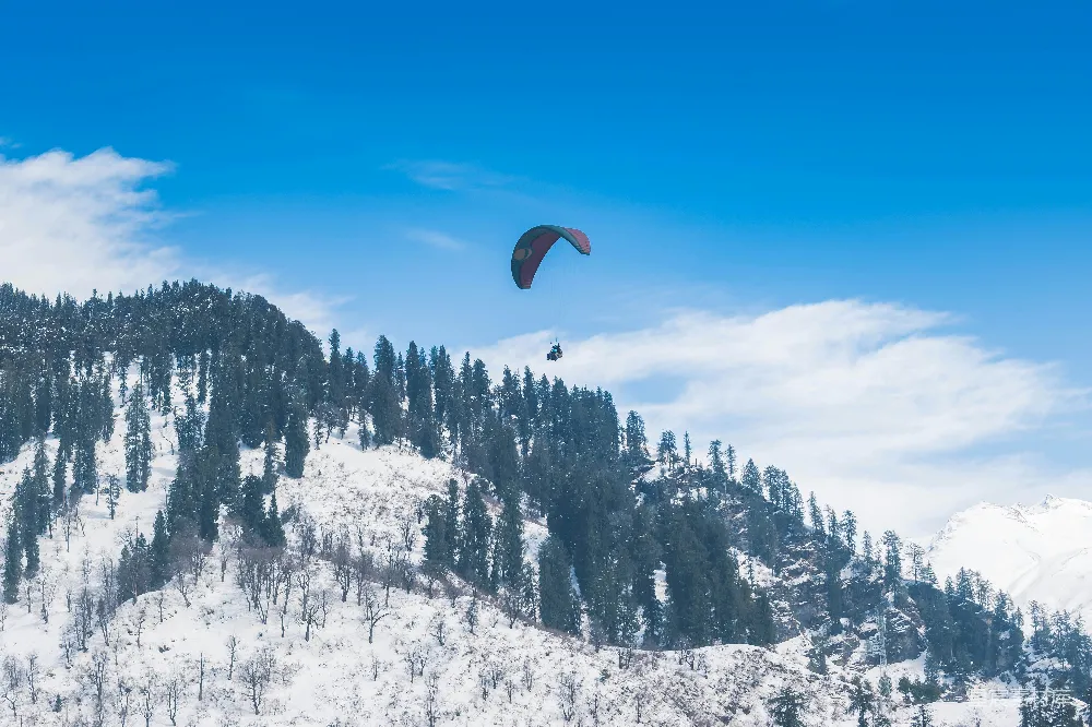 高清摄影 冬季 户外运动 滑雪场 滑翔伞 自然风光 冬日滑翔伞的空中舞者