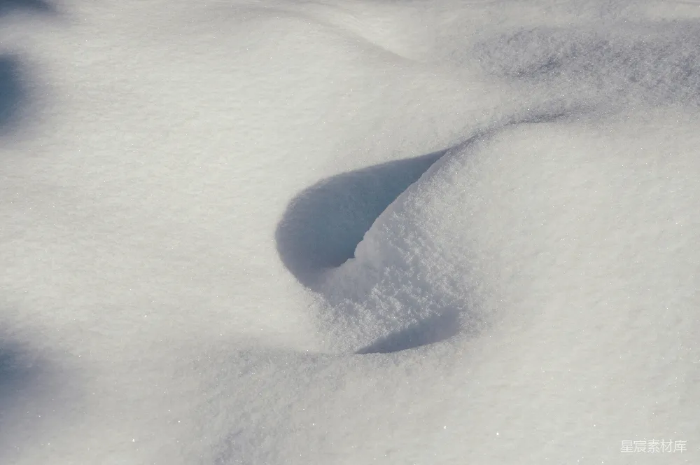 高清摄影 雪地 足迹 自然 冬季 户外 雪地中的足迹