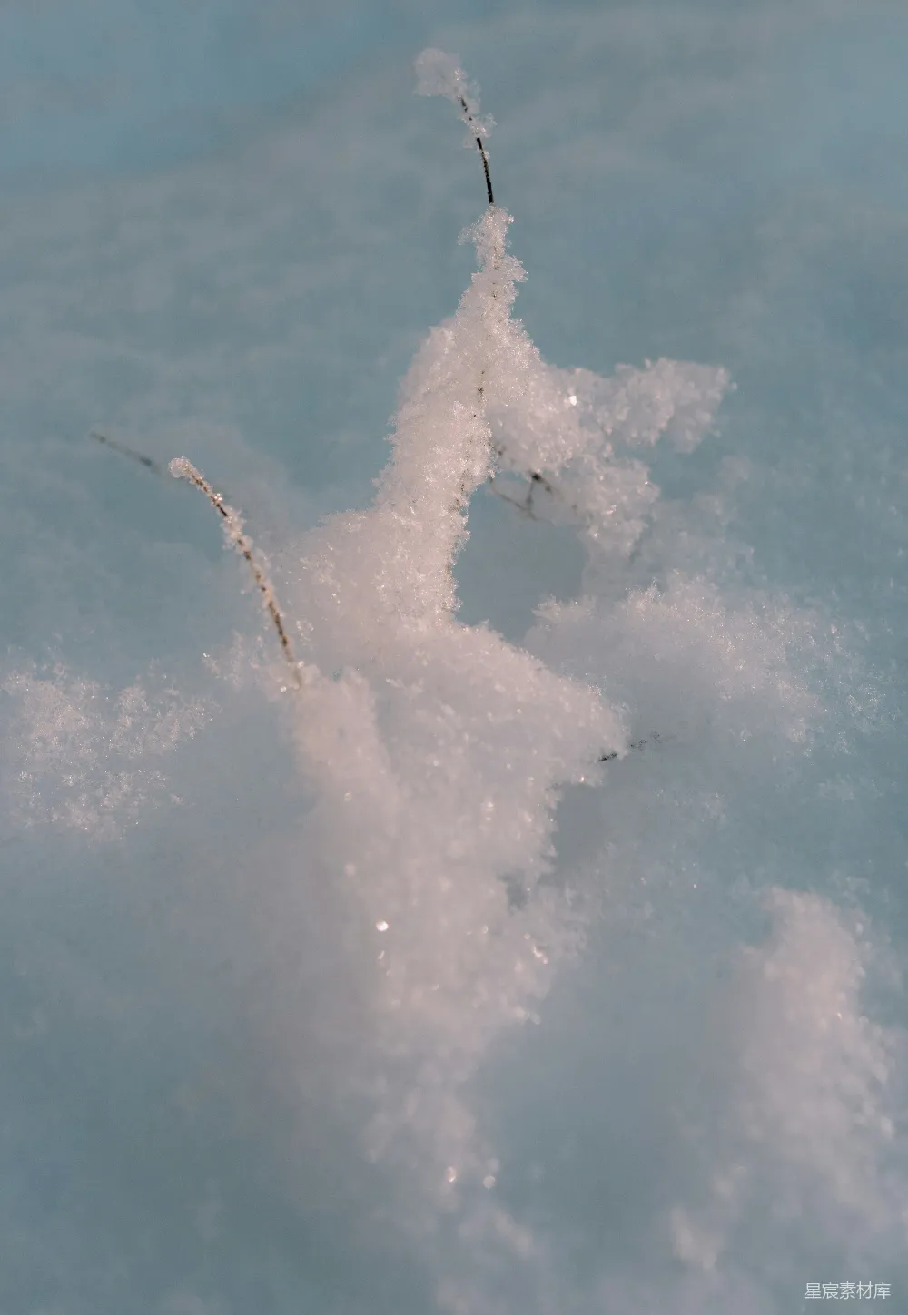 高清摄影 雪景 冬季 自然 寒冷 宁静 冬日雪星