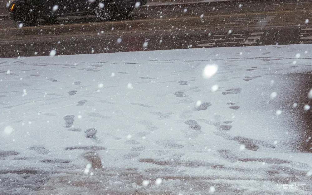 高清摄影 雪地 足迹 冬季 自然 户外 雪地足迹
