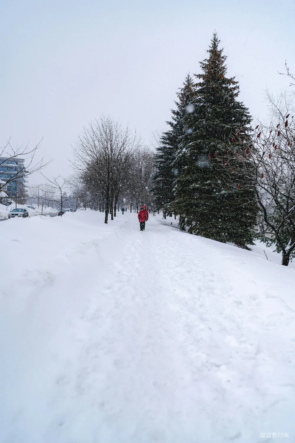 高清摄影 冬季 雪景 自然 户外 孤独 雪中的漫步