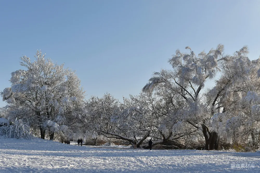 高清摄影 冬季 雪景 自然风光 户外活动 休闲时光 冬日雪景中的漫步者