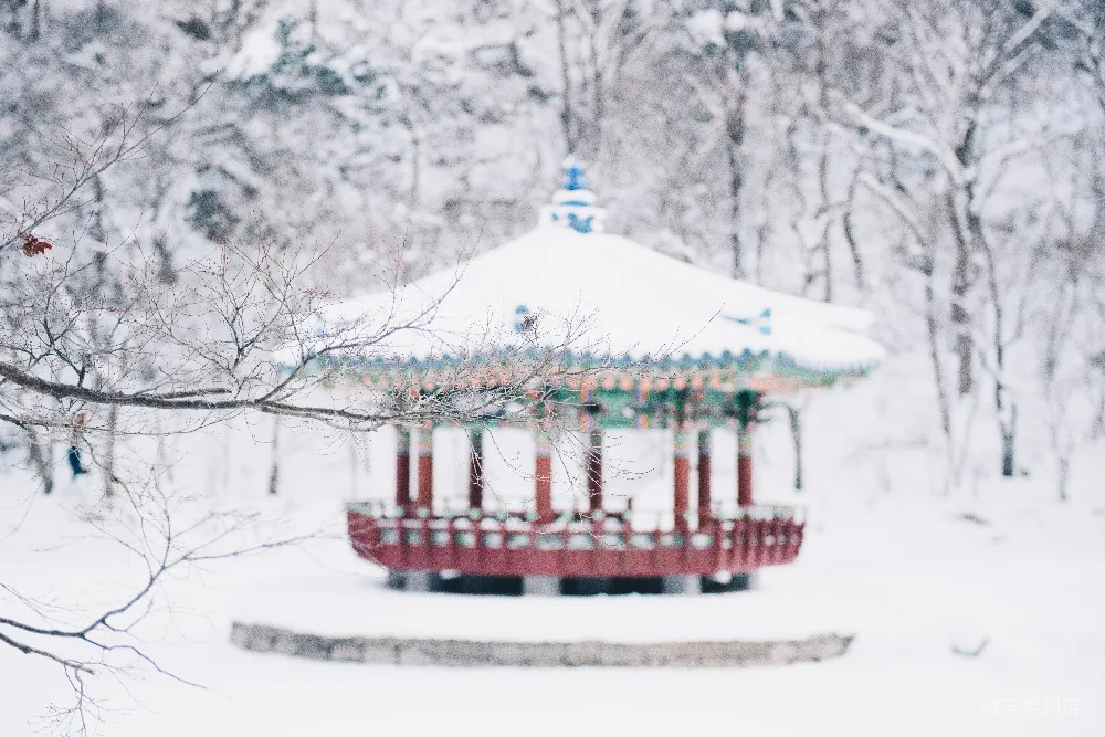 高清摄影 雪景 传统亭子 冬季 自然风光 宁静 冬日雪景中的传统亭子