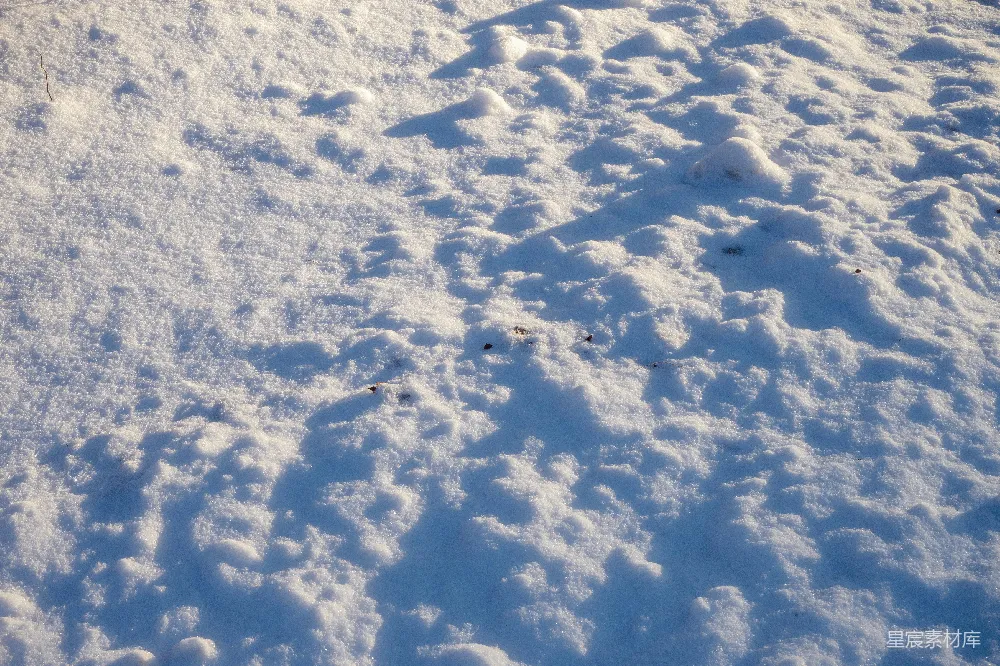 高清摄影 雪地 自然 光影 足迹 冬季 雪地上的光影与足迹