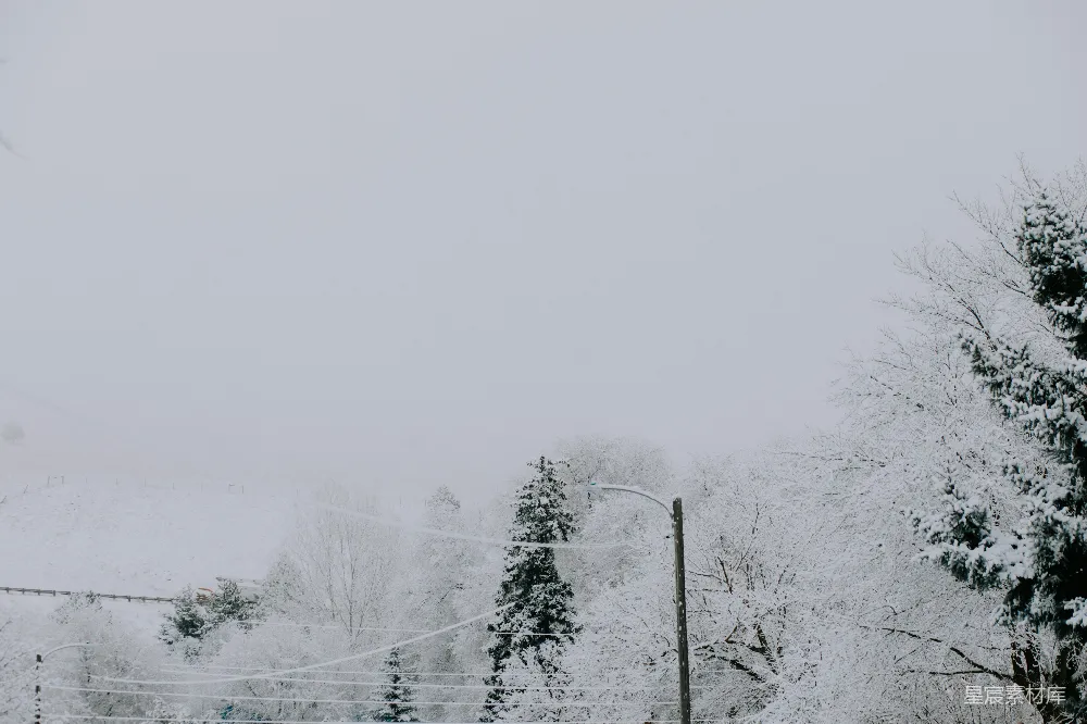 高清摄影 雪景 冬季 自然风光 宁静 孤独 冬日雪景中的宁静与孤寂