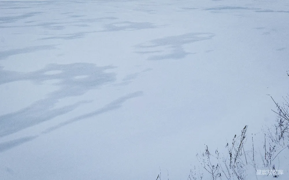 高清摄影 雪地 足迹 自然 冬季 户外 雪地的足迹