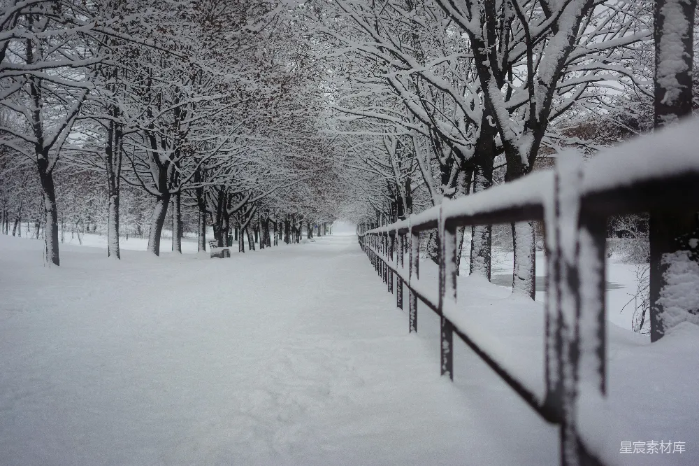 高清摄影 雪景 冬季 自然 宁静 小径 冬日雪景中的小径