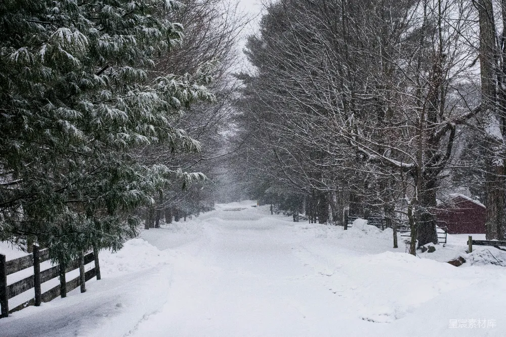 高清摄影 雪景 乡村 冬季 自然 宁静 雪中的乡村小路