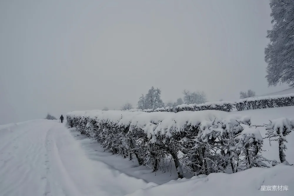 高清摄影 雪景 乡村 宁静 冬季 自然 雪后宁静的乡村小径