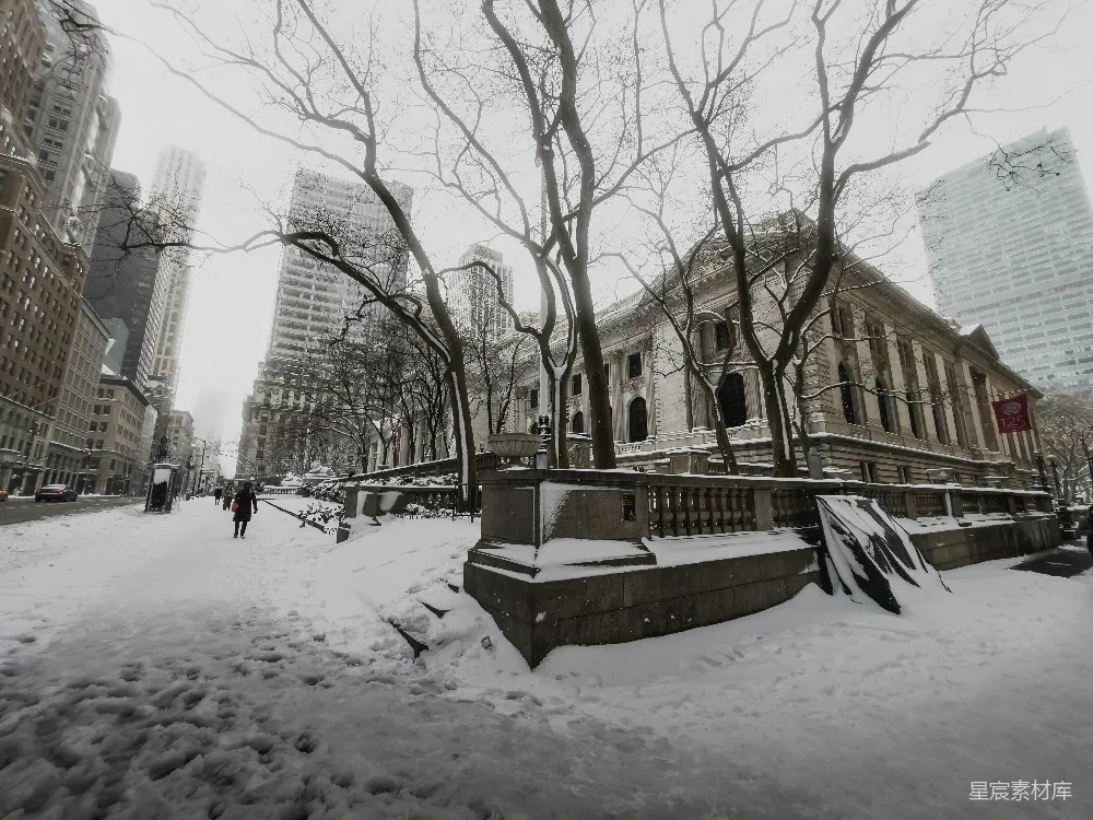高清摄影 雪景 图书馆 城市 冬季 建筑 雪中的城市图书馆