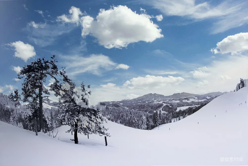 高清摄影 冬季 雪景 自然风光 宁静 户外 雪景中的冬日宁静