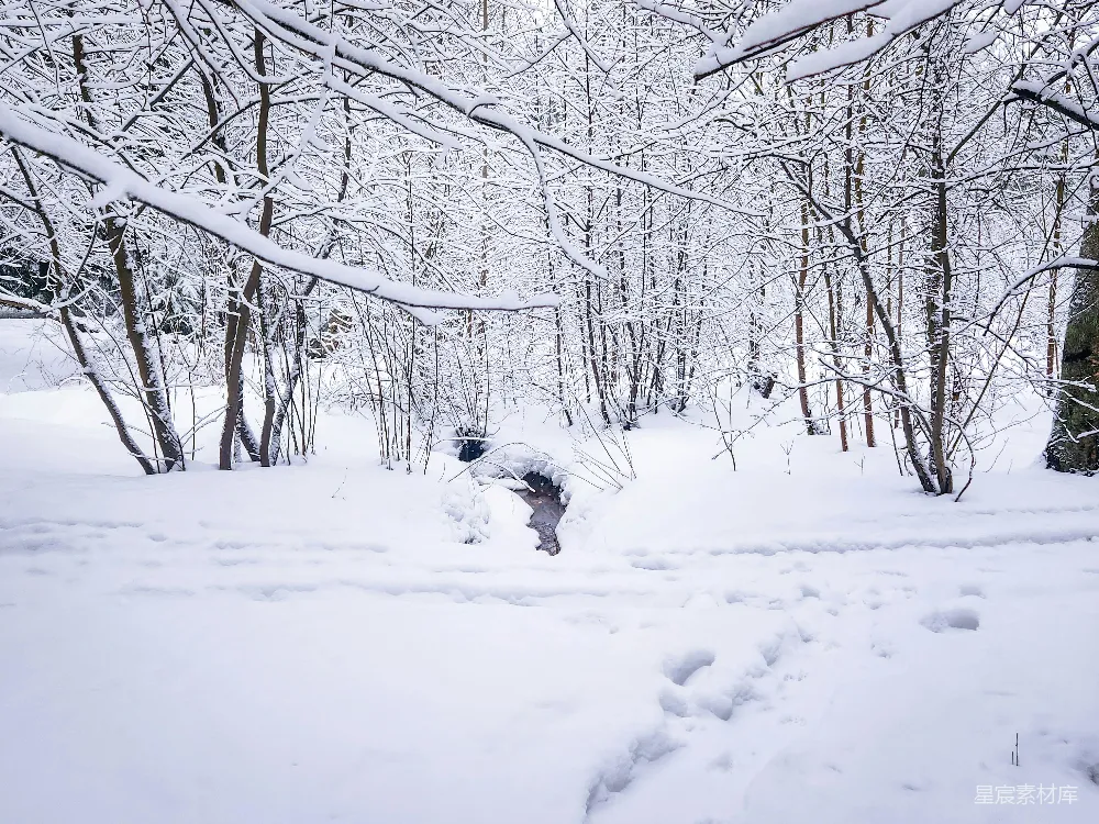 高清摄影 雪景 自然 冬季 河流 宁静 冬日雪景中的小溪
