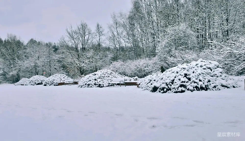 高清摄影 冬日 雪景 公园 自然 宁静 冬日雪景公园