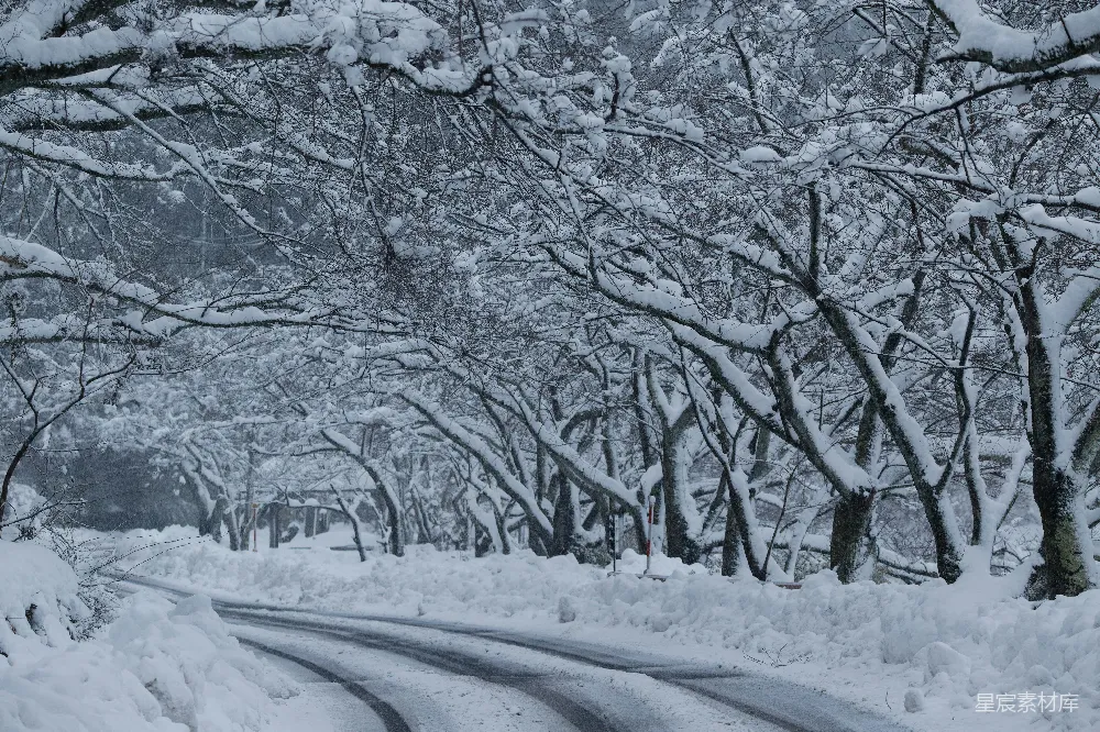高清摄影 雪景 冬季 自然 户外 风景 冬日雪景，树下小路