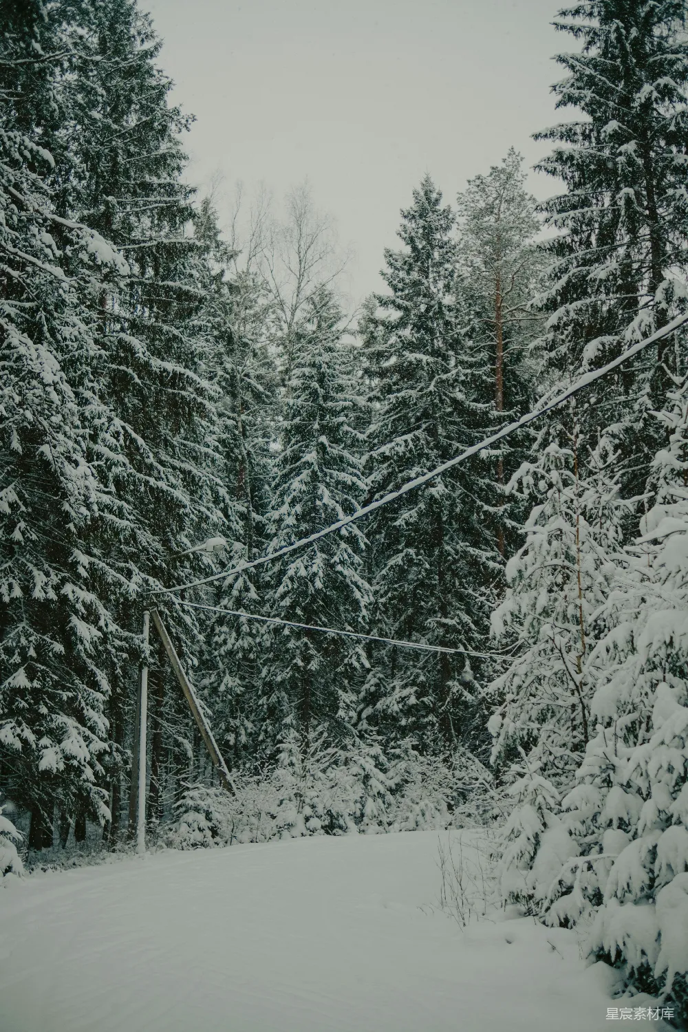 高清摄影 冬季 雪景 森林 小路 宁静 冬日雪林中的森林小路
