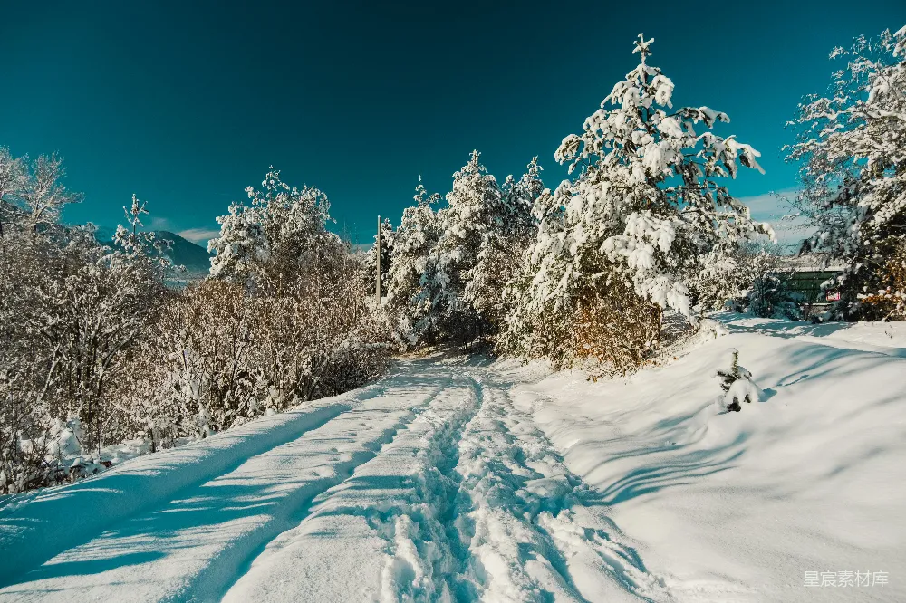 高清摄影 冬季 雪景 自然风光 宁静 户外 冬日雪景中的宁静小径