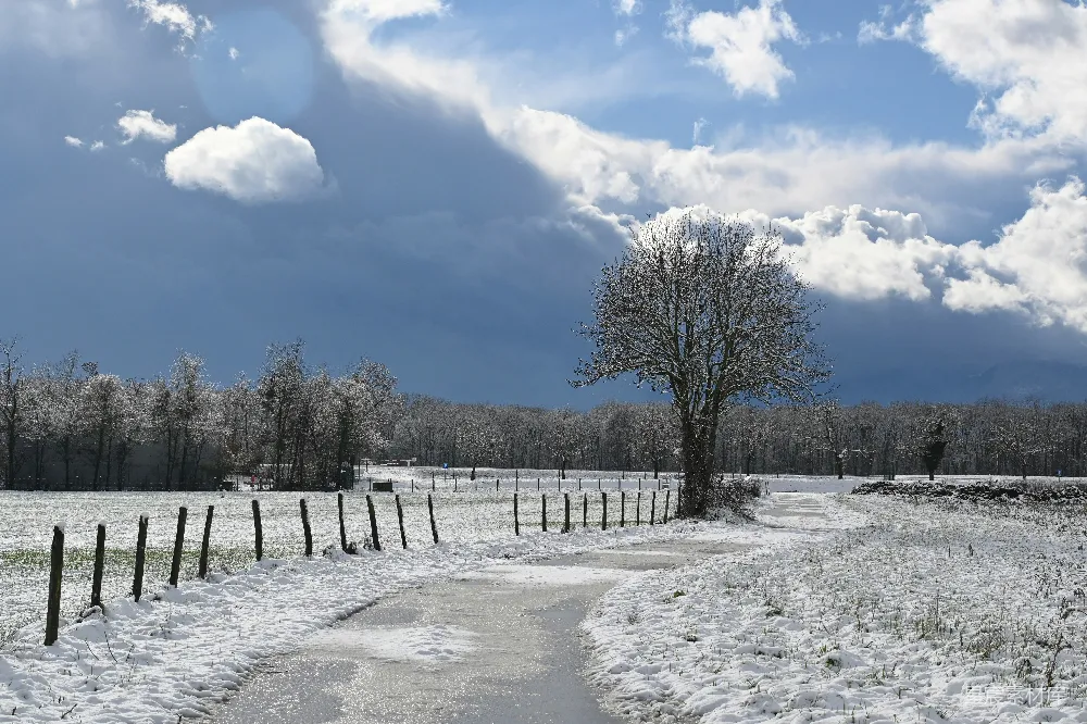 高清摄影 冬日 雪景 宁静 乡村 自然 冬日雪景中的宁静小径