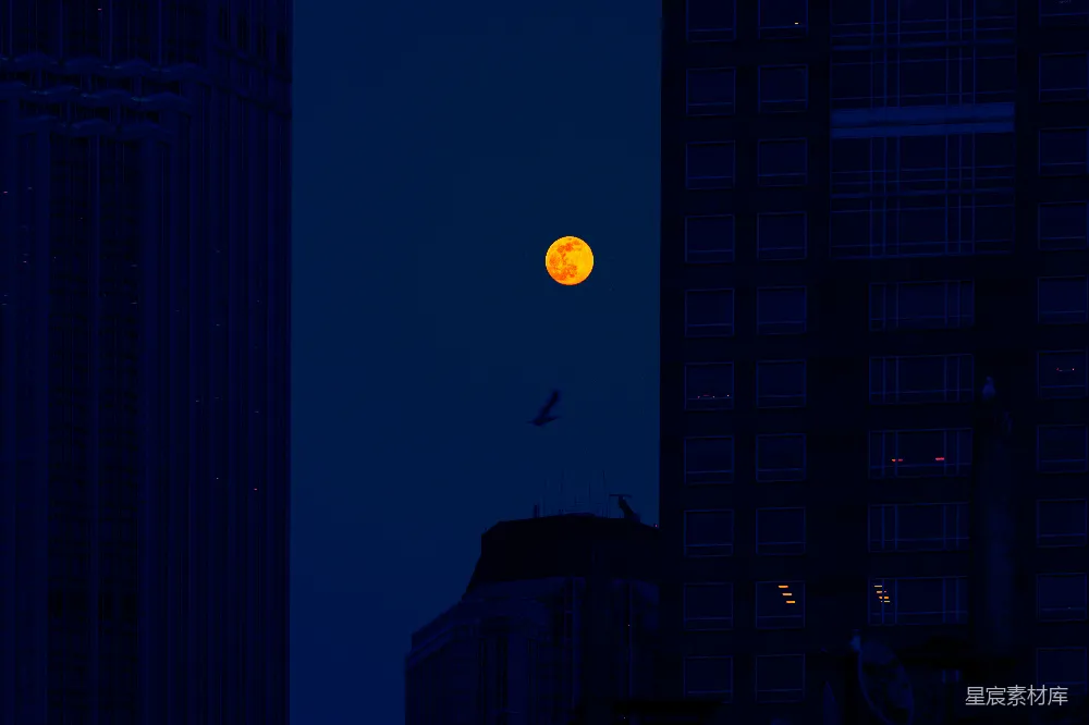 高清摄影 城市 夜景 月亮 建筑 自然与城市 城市中的红月