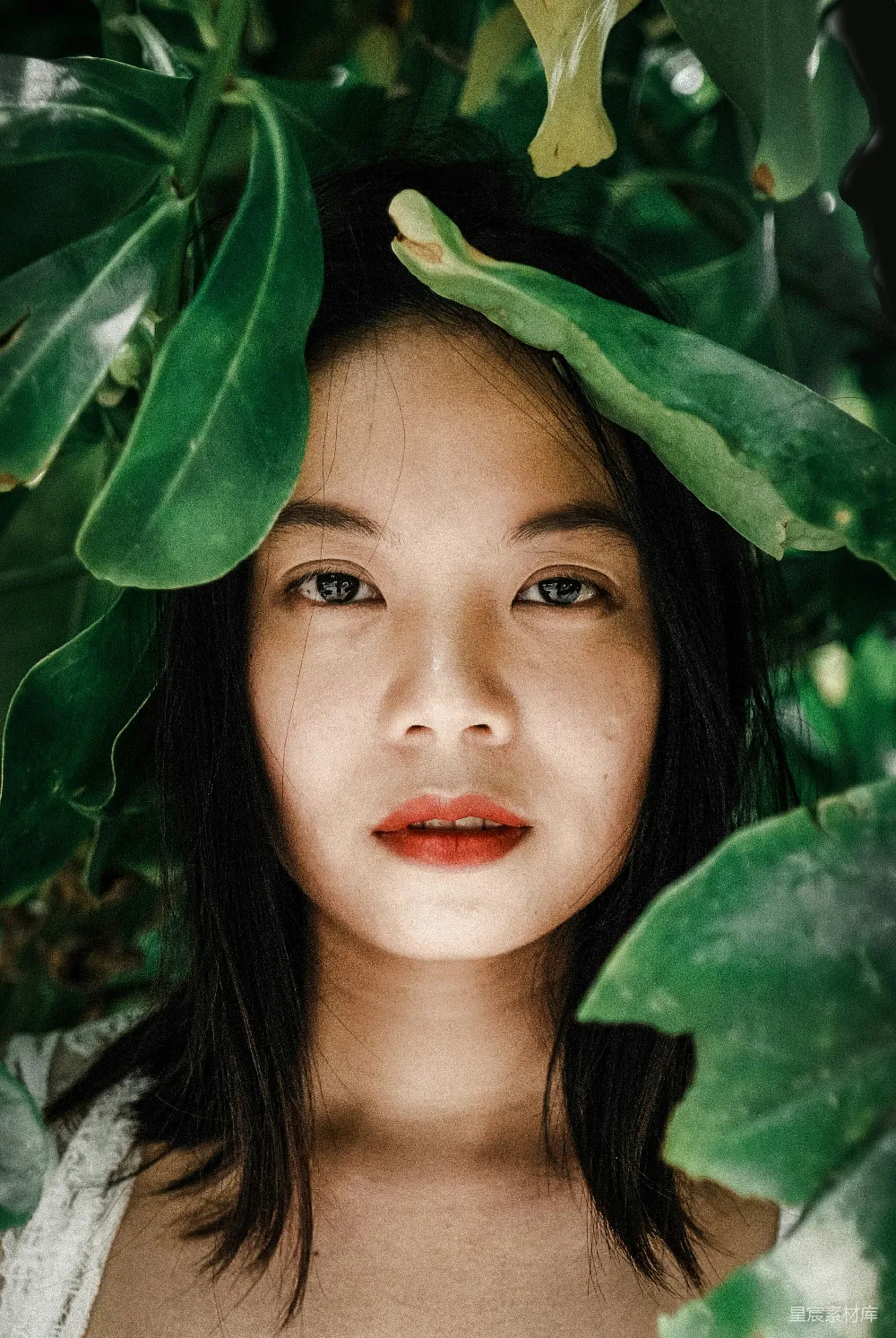 高清摄影 自然 绿植 人物肖像 清新 户外 绿意盎然的自然之美
