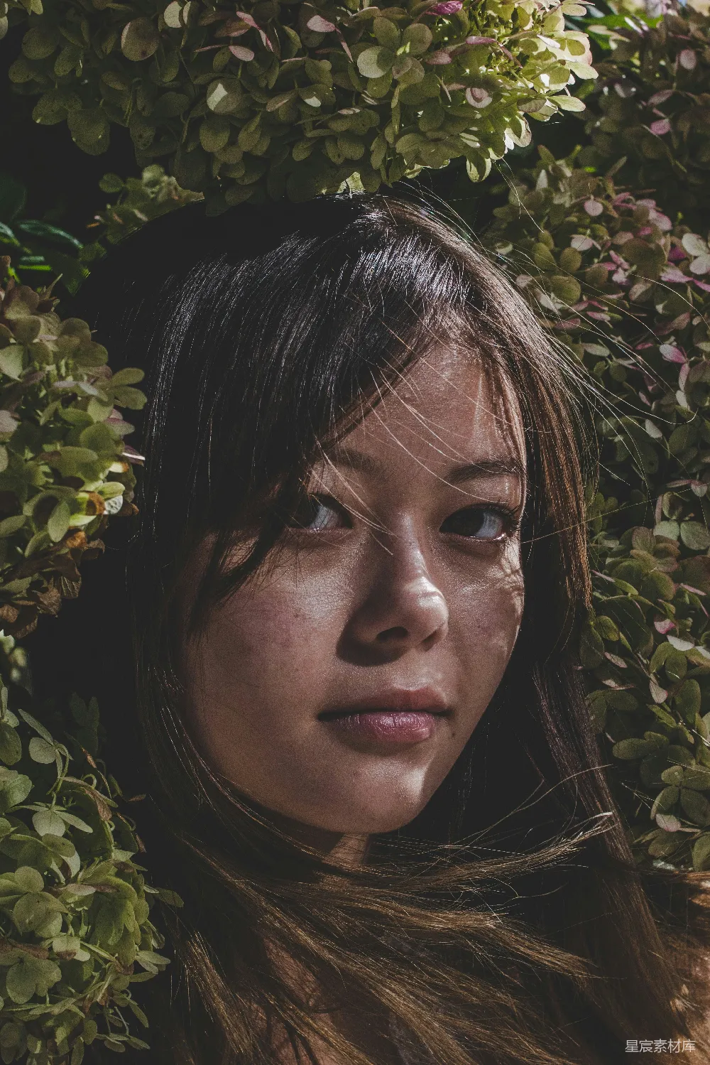 高清摄影 自然 人像 花卉 户外 青春 自然之美：花海中的女孩