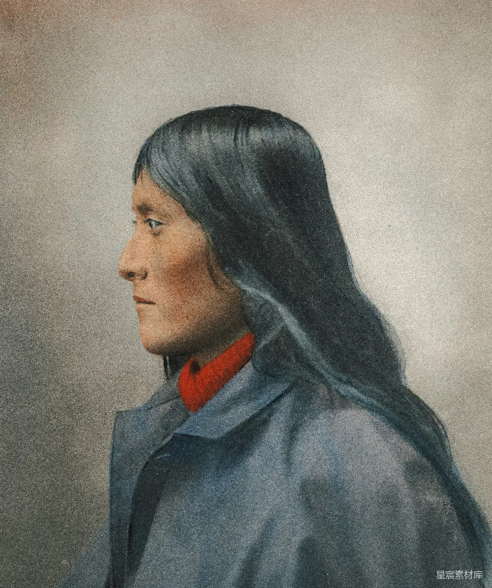 高清摄影 肖像画 侧脸 长发 女性 艺术 侧脸的长发女性肖像