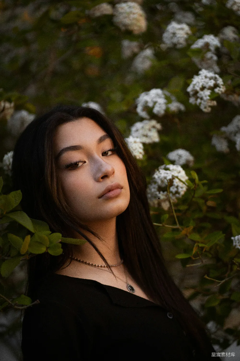 高清摄影 自然 清新 女性 户外 花卉 花丛中的年轻女子