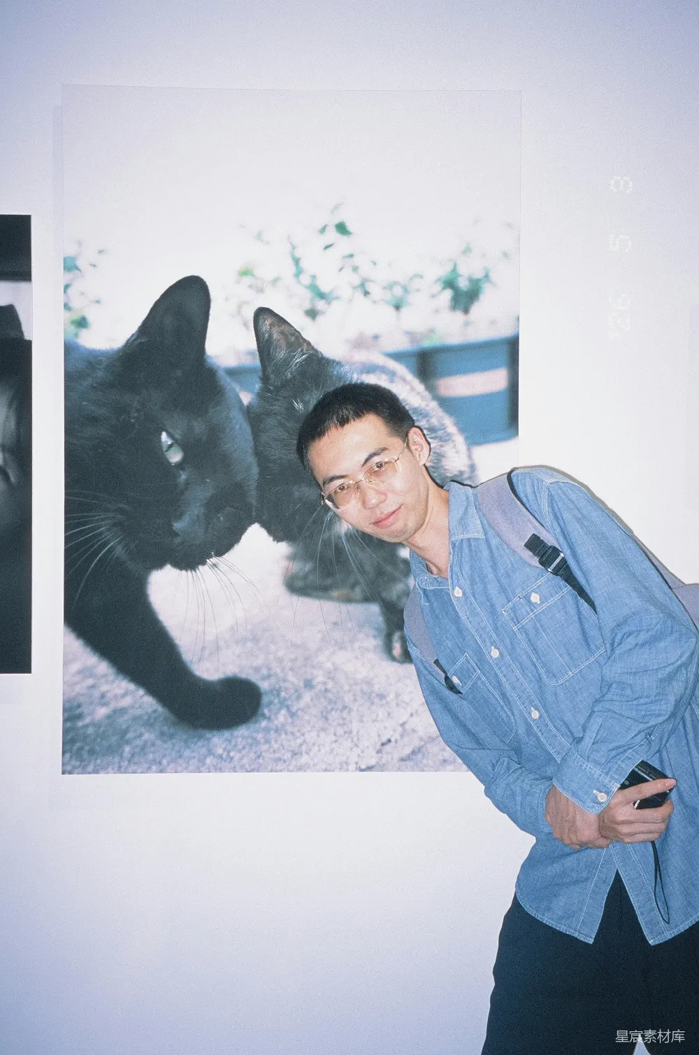 高清摄影 摄影 猫 人像 艺术 生活 与猫的合影