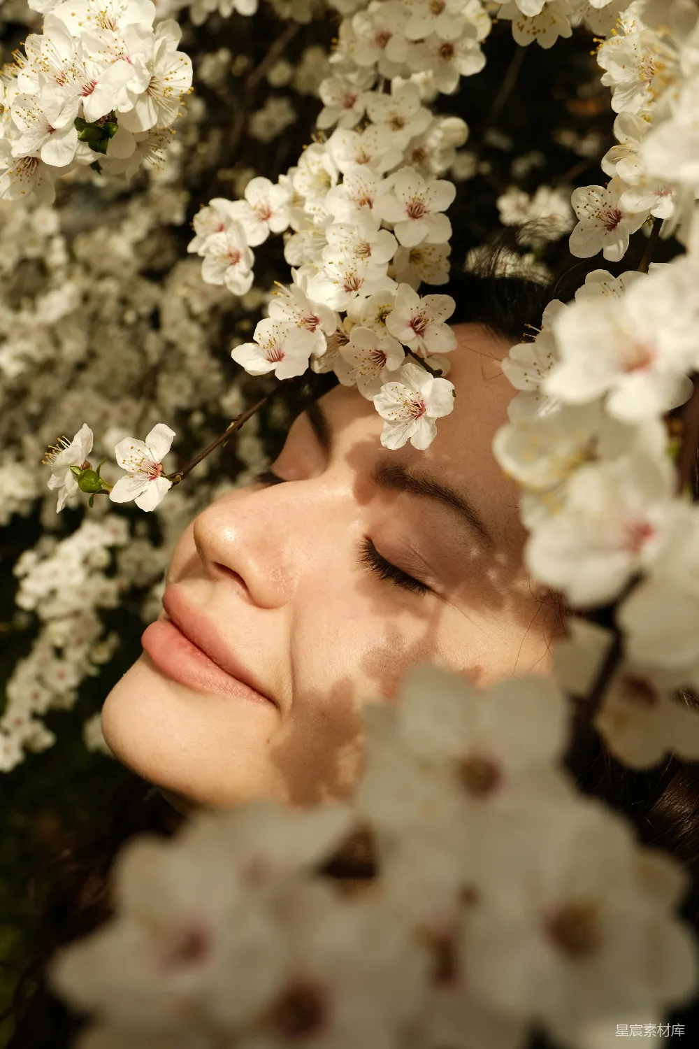 高清摄影 自然美 春季 宁静 花朵 女性 在花海中沉睡的宁静