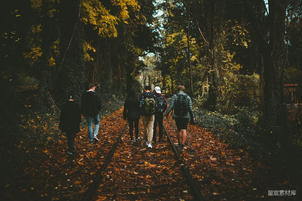 高清摄影 自然 旅行 友谊 秋天 森林 秋日森林中的徒步旅行