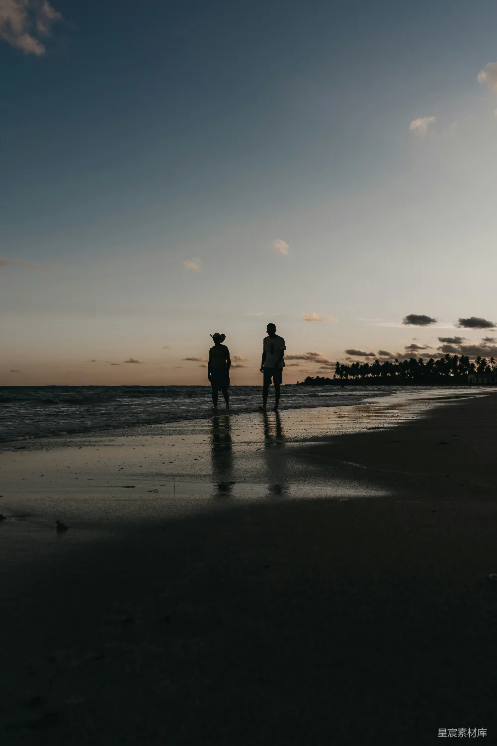 高清摄影 海滩 黄昏 散步 两人 自然 黄昏时分的海滩散步