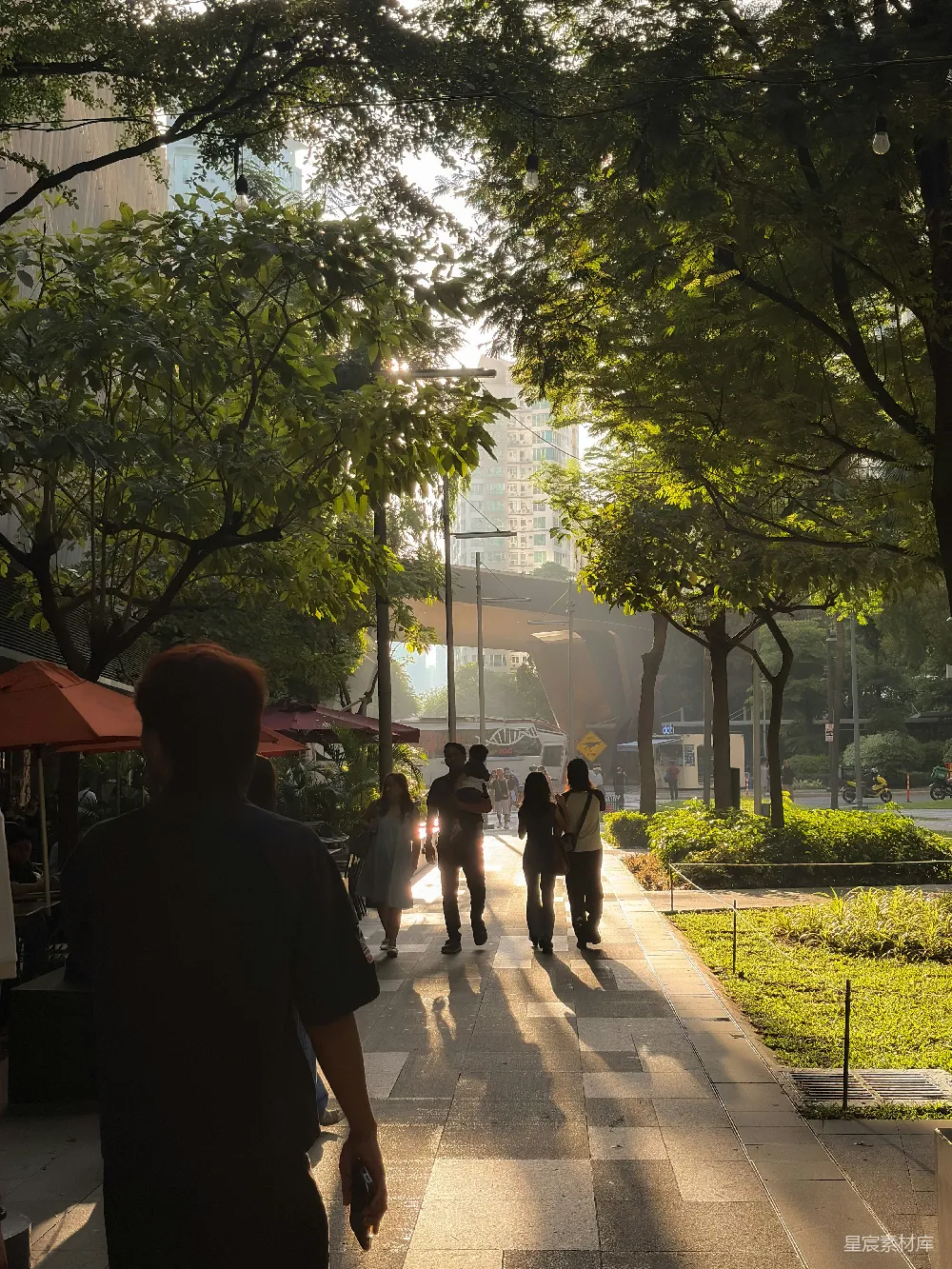 高清摄影 城市 休闲 阳光 树木 人行道 阳光下的城市休闲漫步