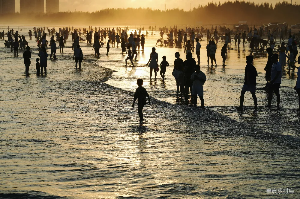 高清摄影 海滩 夕阳 人群 休闲 自然 夕阳下的海滩聚会