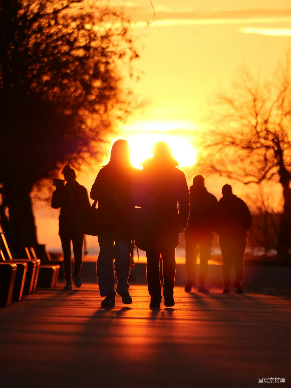 高清摄影 夕阳 散步 剪影 黄昏 休闲 夕阳下的散步