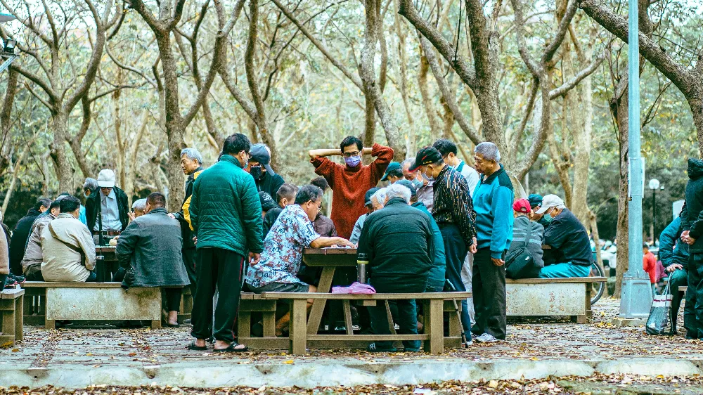 高清摄影 公园 棋牌 老年人 休闲 户外 公园中的棋牌时光