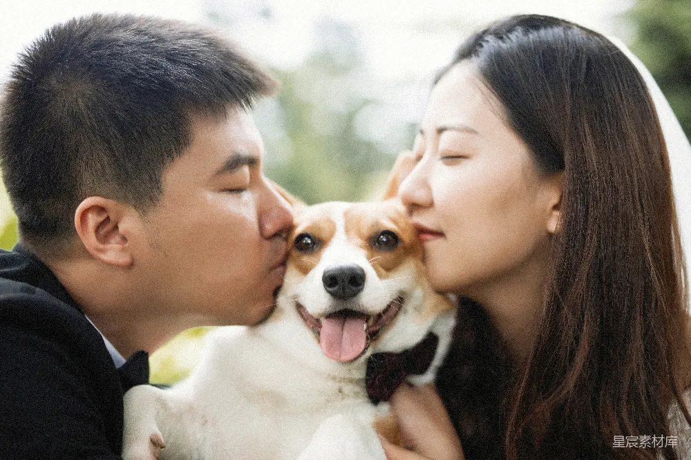 高清摄影 情侣 宠物 亲密 婚礼 温馨 幸福的三口之家
