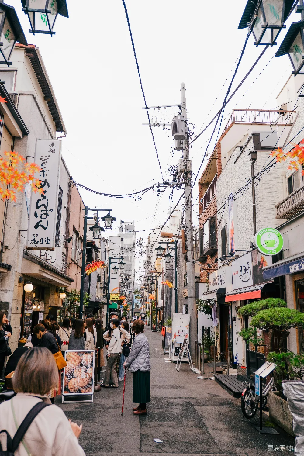 高清摄影 东京 巷弄 秋景 人行道 日本 东京巷弄的秋景