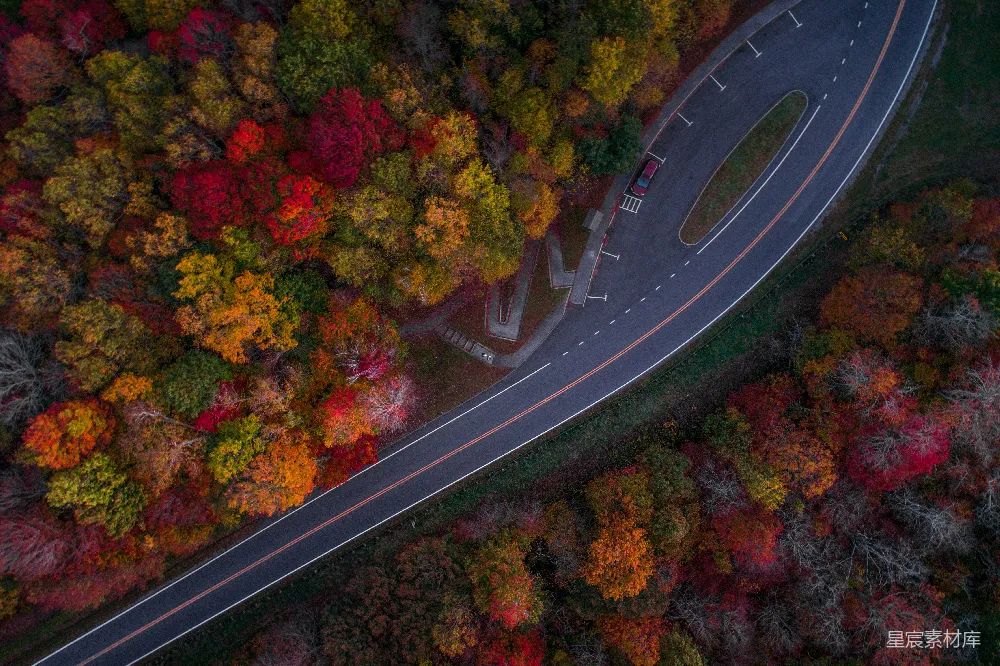 高清摄影 秋天 森林 道路 航拍 风景 秋日森林中的蜿蜒道路